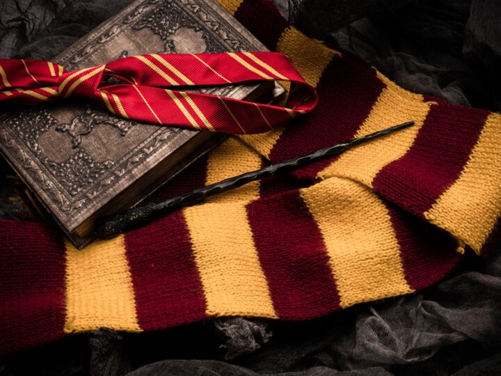 Subjects of the school of magic. Scarf, magic wand, book of spel