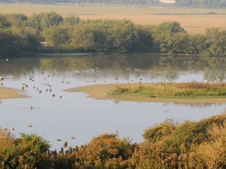 Les Voyages de L'Avenir - Baie de Somme (3)