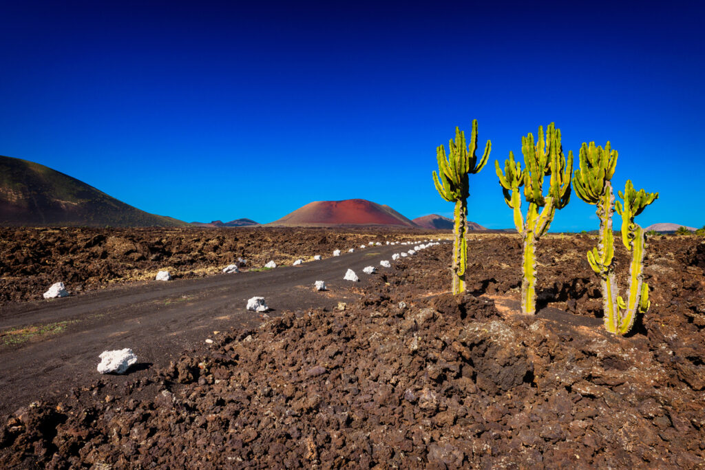 Croisière dans l'archipel des Canaries, la douceur d'un éternel printemps