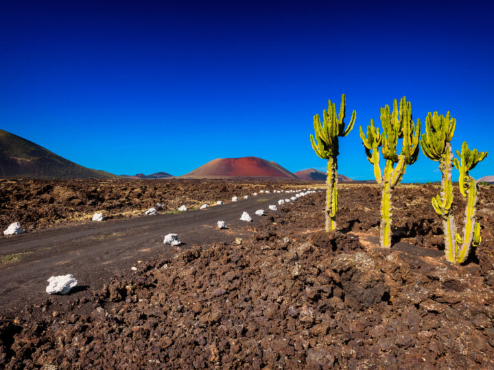 Croisière dans l'archipel des Canaries, la douceur d'un éternel printemps
