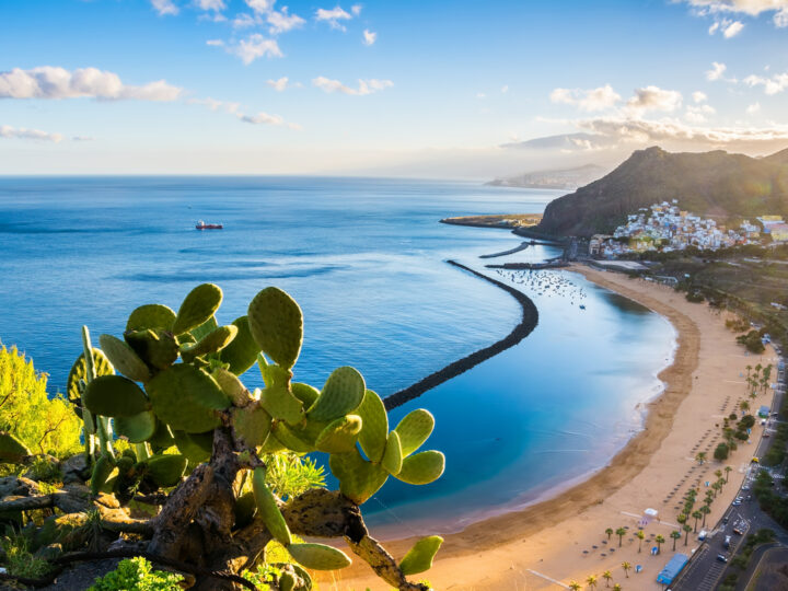 journée7 - SANTA CRUZ DE TENERIFE (Tenerife)