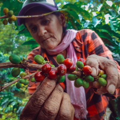 Colombie