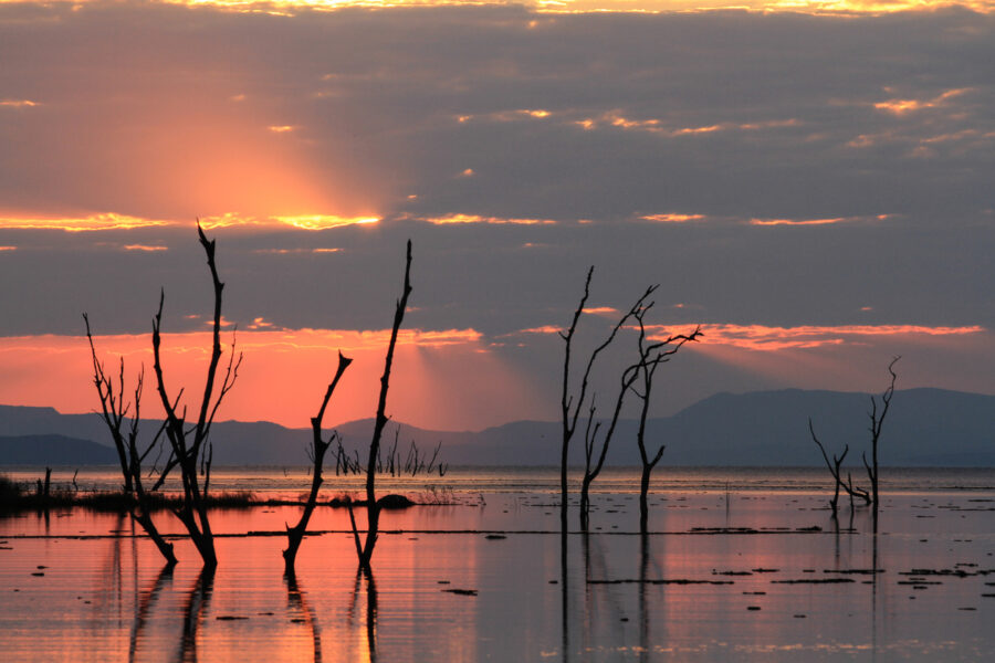 journée7 - BATEAU : Lac Kariba - Navigation jusqu'à Spurwing Island (Zimbabwe)