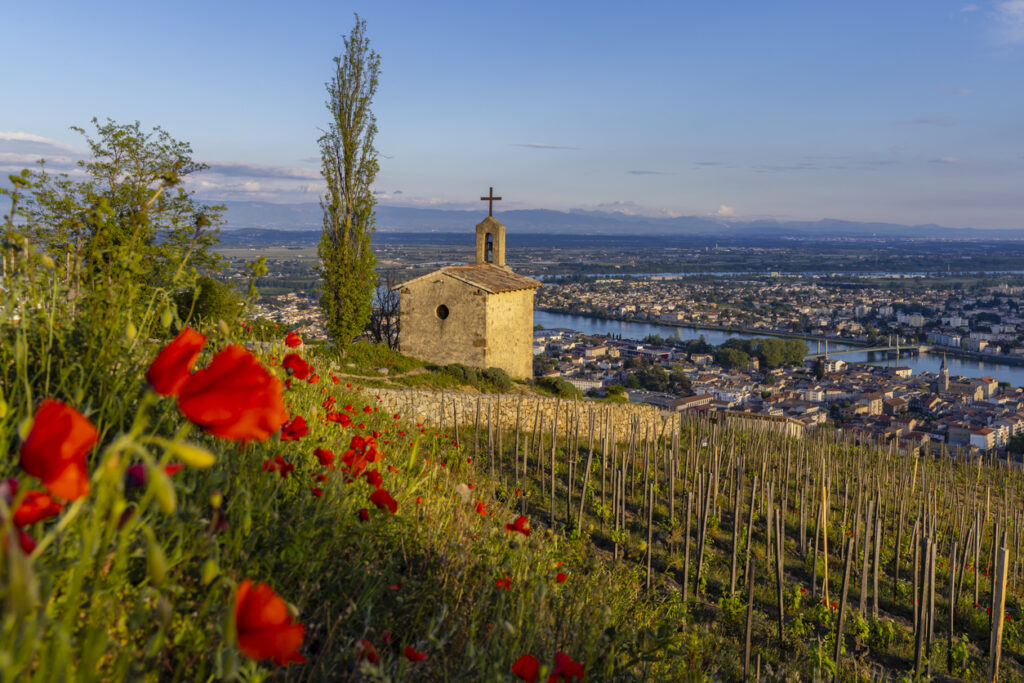 Gastronomie et vignoble entre Rhône et Saône avec un dîner à l'Abbaye de Collonges - Paul Bocuse