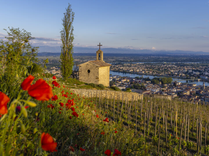 Gastronomie et vignoble entre Rhône et Saône avec un dîner à l'Abbaye de Collonges - Paul Bocuse