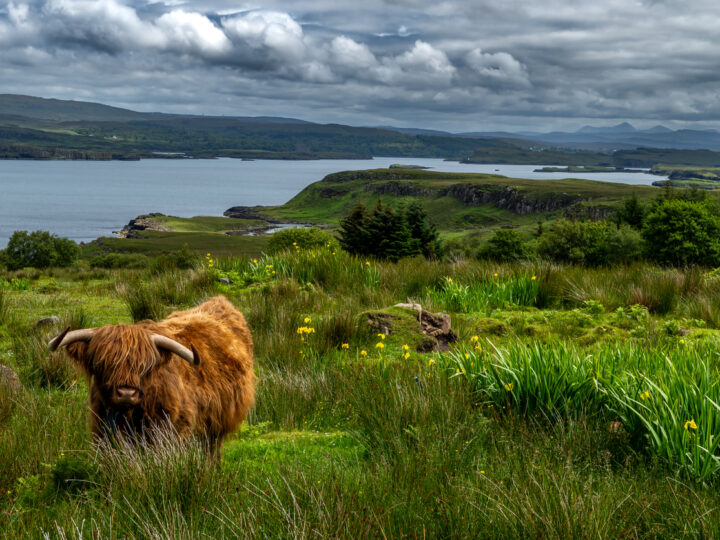 journée5 - Aberdeen – Strathpeffer