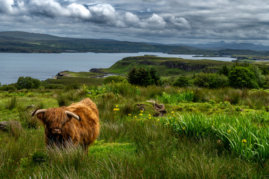 journée5 - Aberdeen – Strathpeffer