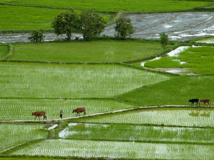 journée8 - Chau Doc