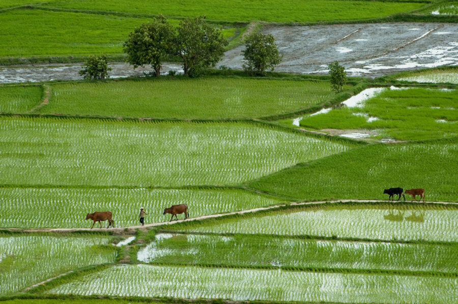 journée8 - Chau Doc