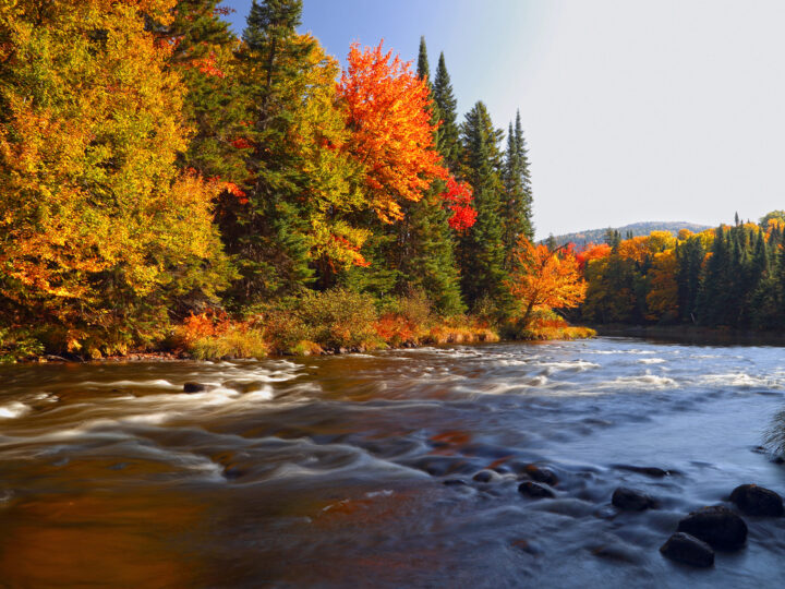 Le Québec, aux couleurs de l’été indien