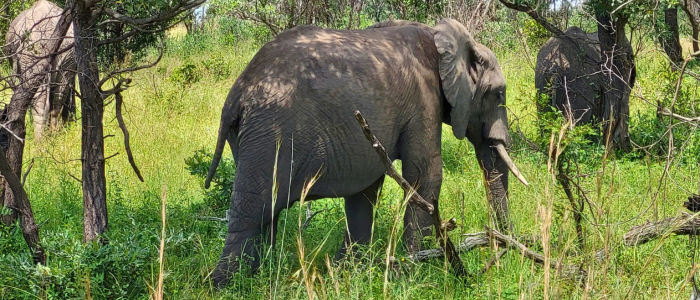 Afrique du Sud - Metaslider (6)