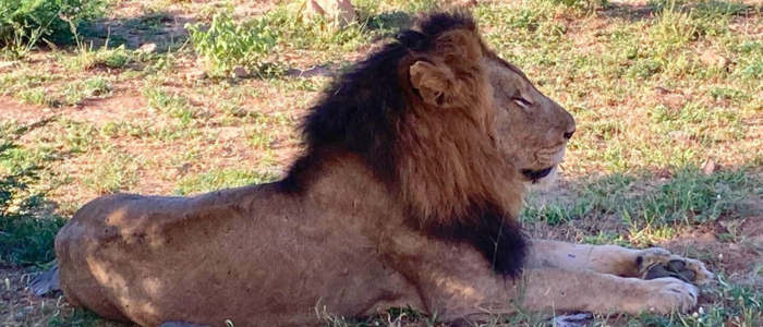 Afrique du Sud - Metaslider