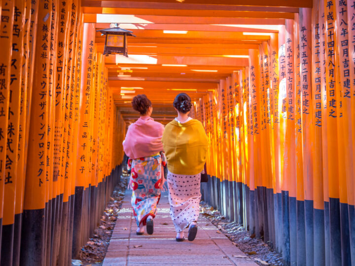 Japon : immersion culturelle en terre du soleil levant