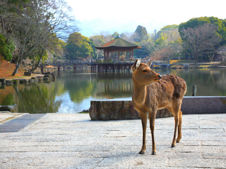 journée2 - JOUR 3 | Mercredi 7 octobre 2026