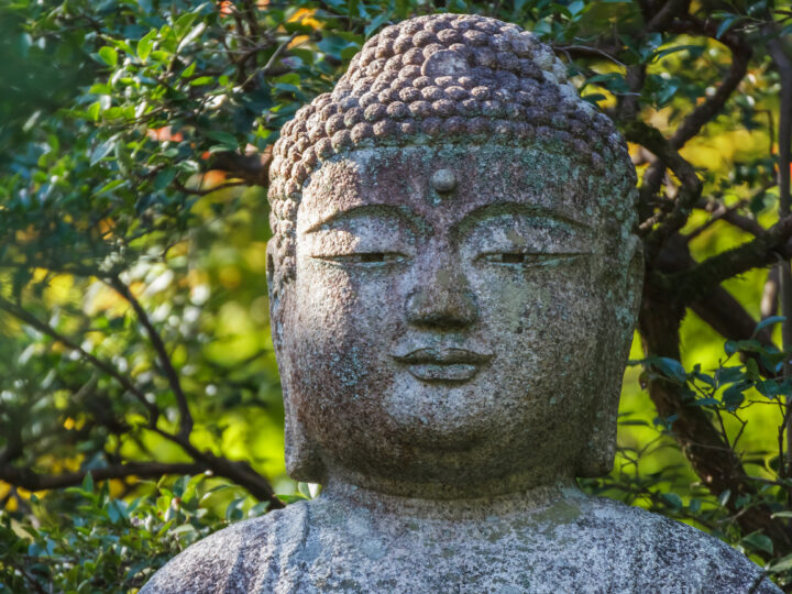 journée4 - JOUR 5 | Vendredi 9 octobre 2026