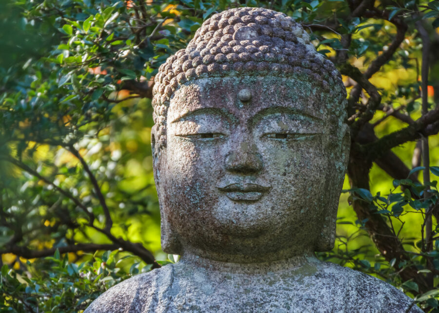 journée5 - JOUR 5 | Vendredi 9 octobre 2026