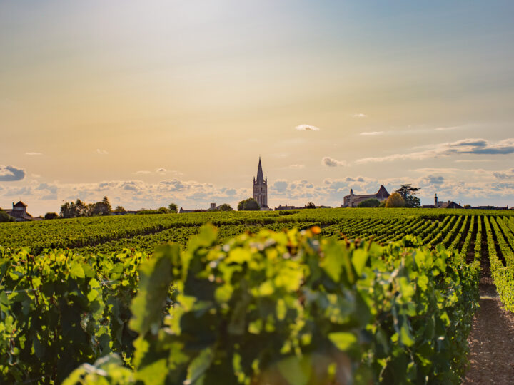 Croisière entre terre et mer, au cœur du Sud-Ouest