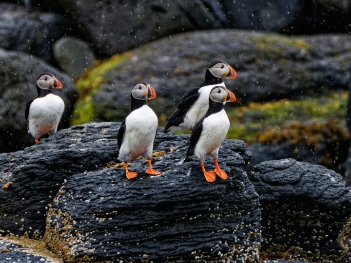 Islande3