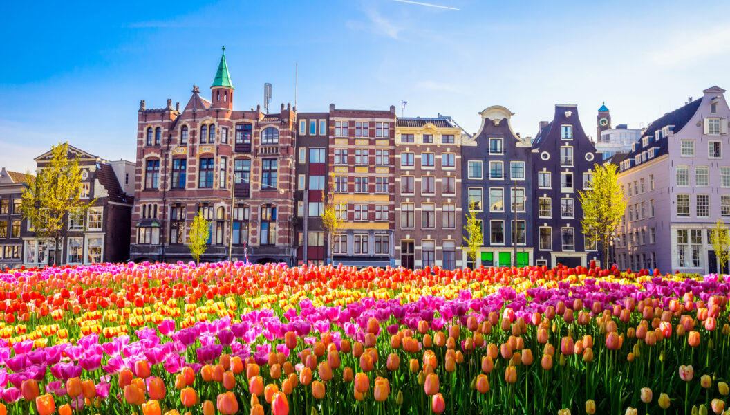 La Hollande, pays des tulipes