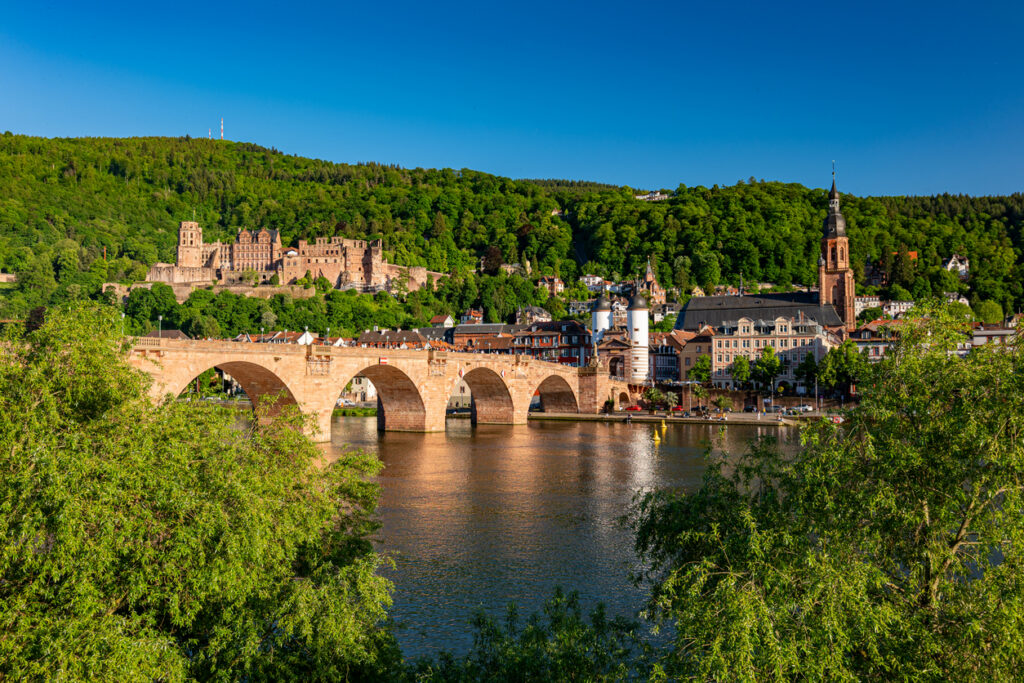 Splendeurs du Rhin et la magie du Royal Palace