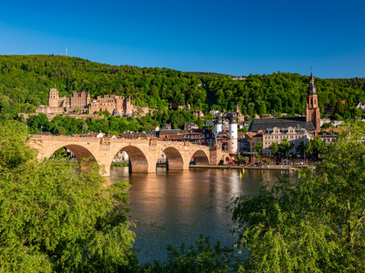 Splendeurs du Rhin et la magie du Royal Palace