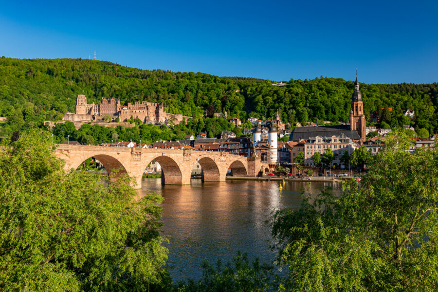 Splendeurs du Rhin et la magie du Royal Palace